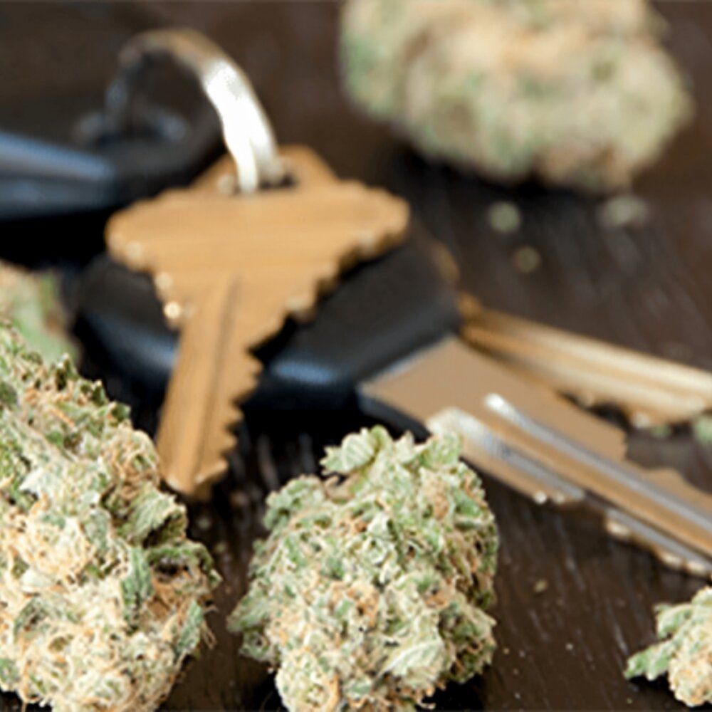 Cannabis buds and vehicle keys illustrating drug-impaired driving hazards